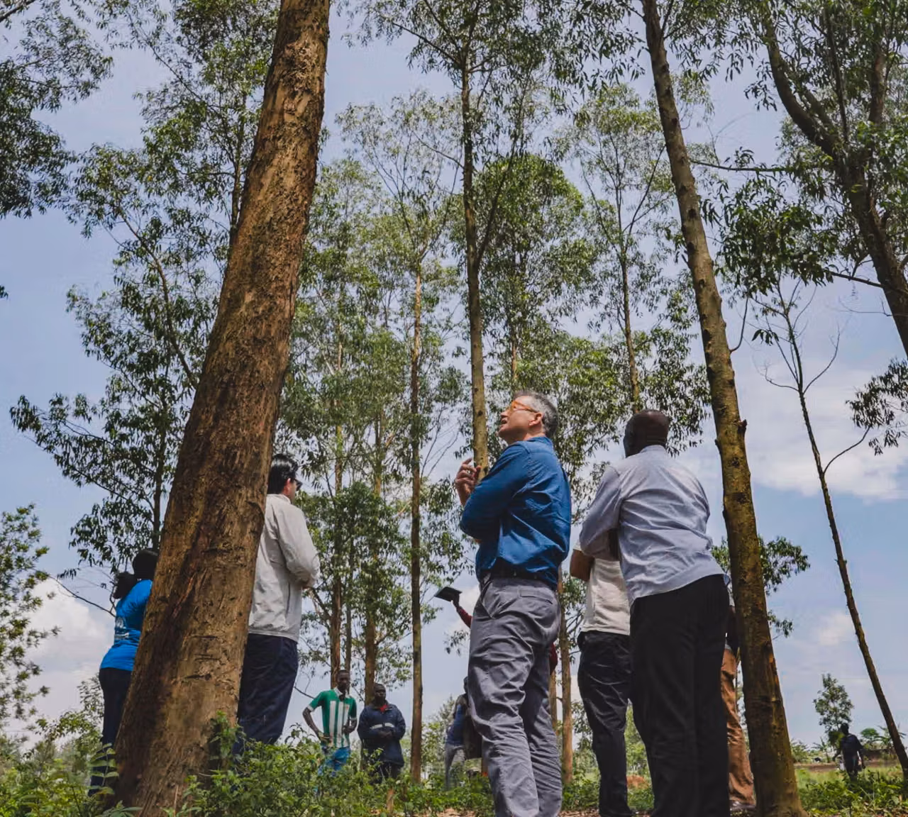 Everpath, subsidiary of BB Energy Leads the World’s First Carbon‑Financed Refugee Climate Programme image